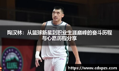 陶汉林：从篮球新星到职业生涯巅峰的奋斗历程与心路历程分享
